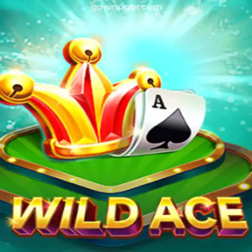 Explore the Thrilling World of WildAce Casino Online